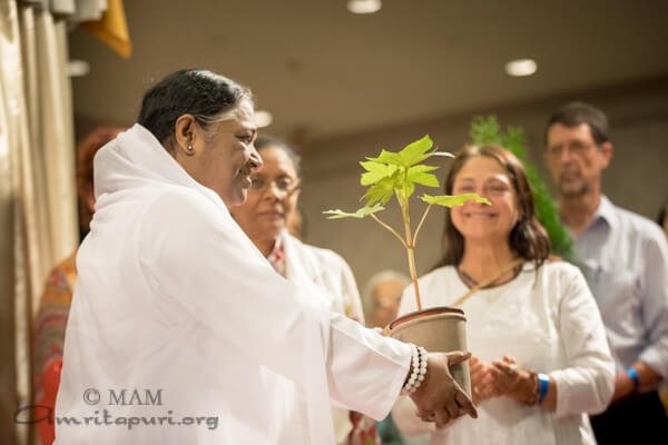 Amritanandamayi's tweet photo. Due to mankind’s selfishness and indiscriminate actions, Nature has become out of balance. The situation is serious. We need to become as alert as if we were standing at gunpoint. Only then can we survive. #Amma https://t.co/1pg8dERDih