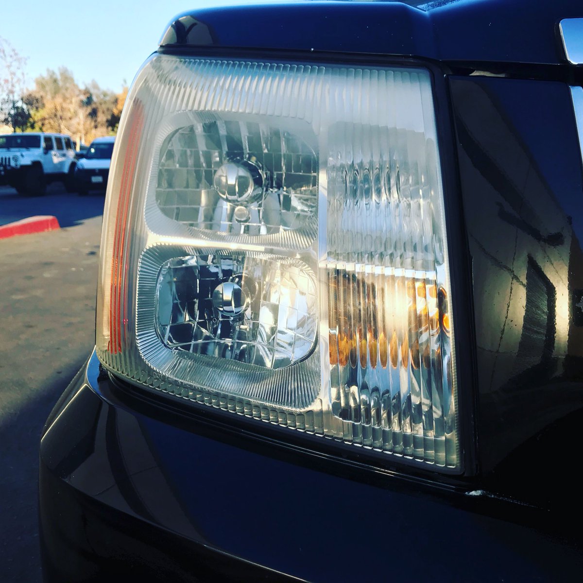 Saved our customer $800 plus labor by restoring these old lights.