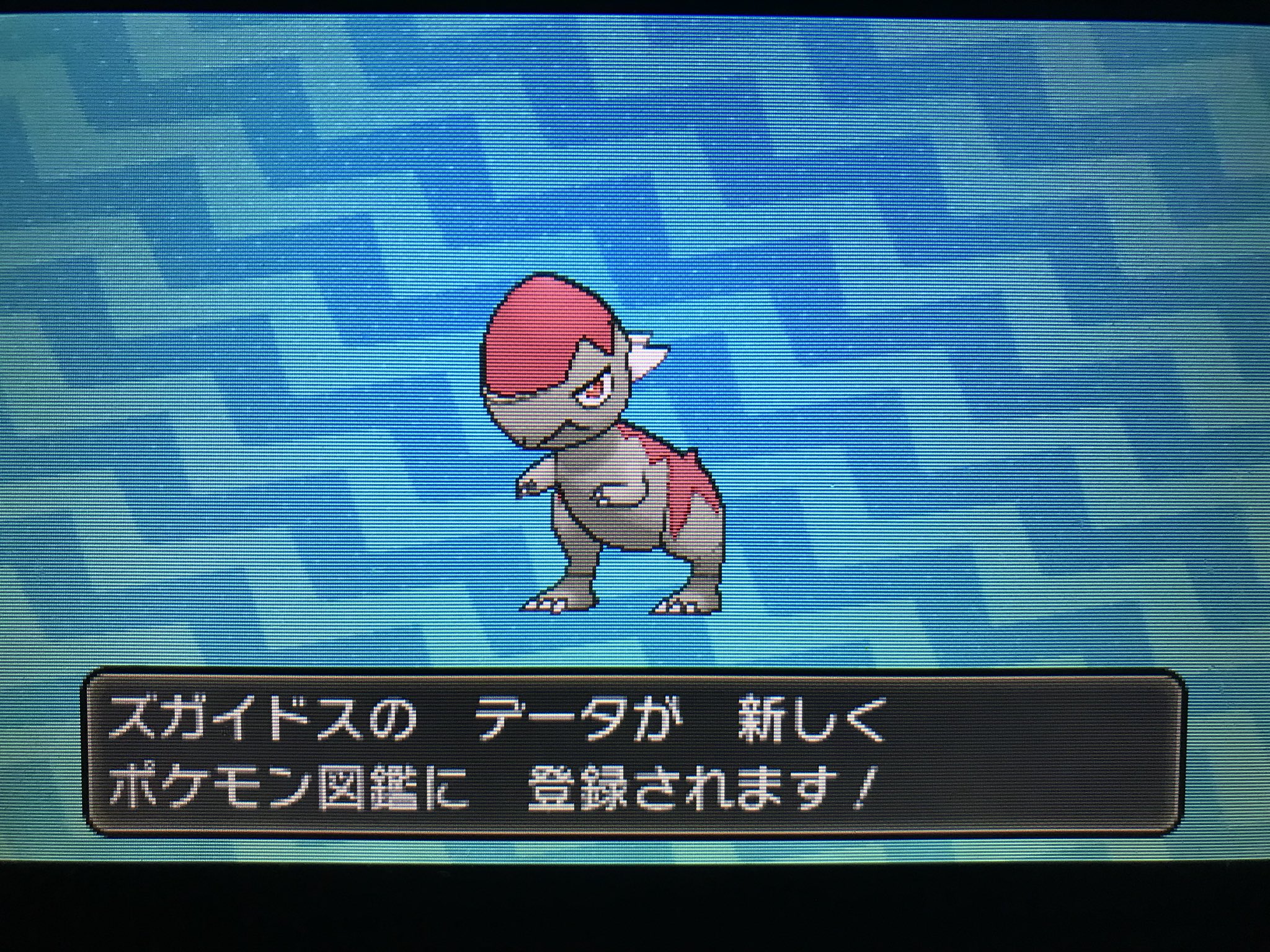 鴉 久しぶりにポケモン進みます 化石復元リセット4663回色違いズガイドス 確か初めて孵化産色違い に挑戦したのがこの子だった気がするので感慨深い 良い色だなあ T Co Lgjybtq71i Twitter