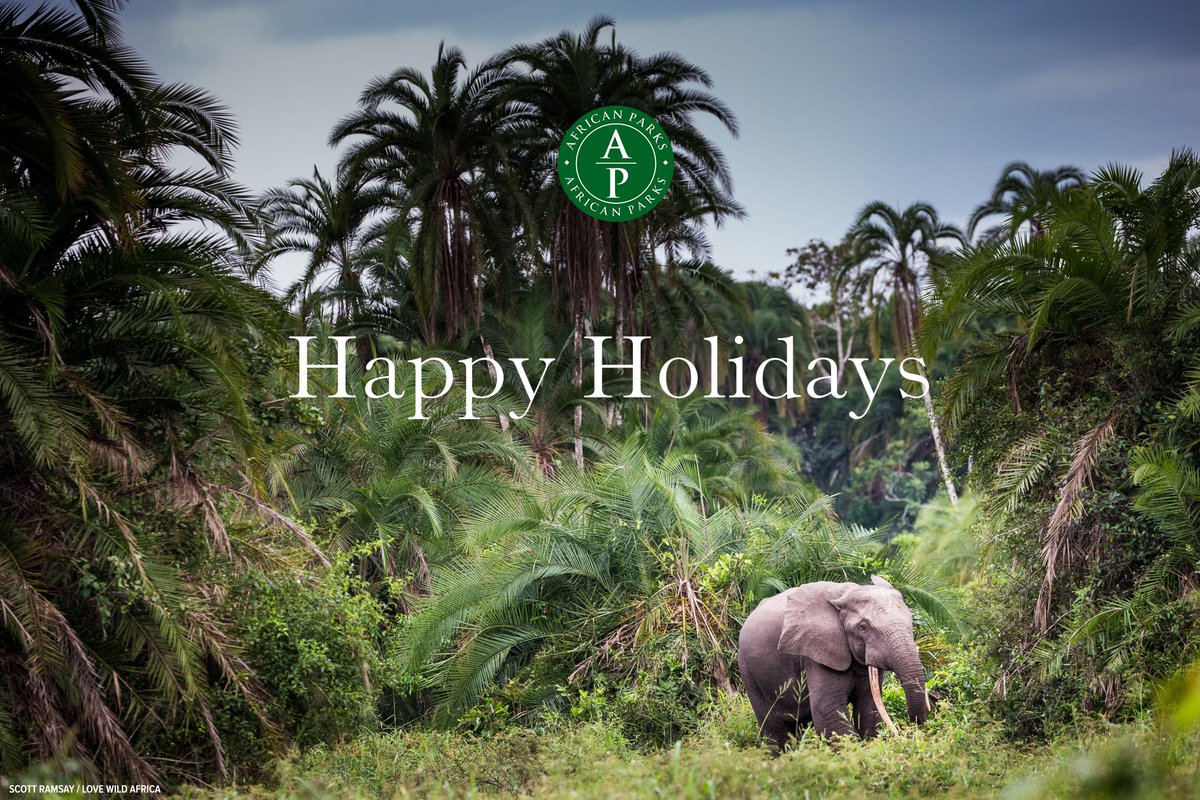 AfricanParks's tweet image. Happy Holidays! Thank you for standing with us, and for wildlife. We couldn’t do the work we do if it wasn’t for you. Sending you our sincerest thanks, and wishing you a joyous holiday season.