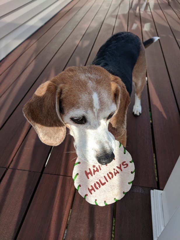 Adashmore Creative tweet media