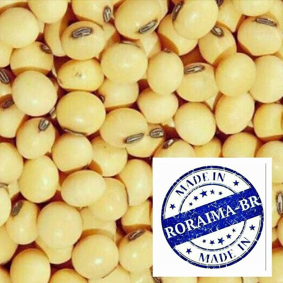 aluizionassi's tweet image. Passos largos para a #Obra que irá mudar definitivamente o #Agro_Roraima!!

folhabv.com.br/noticia/-Brasi…

**Faltam asfaltar menos de 400km.

#Roraima_SemIgual
#Roraima_HemisférioNorte
#Soja_Roraima
+ Óleo
+ Proteína
#ExtremoNorte