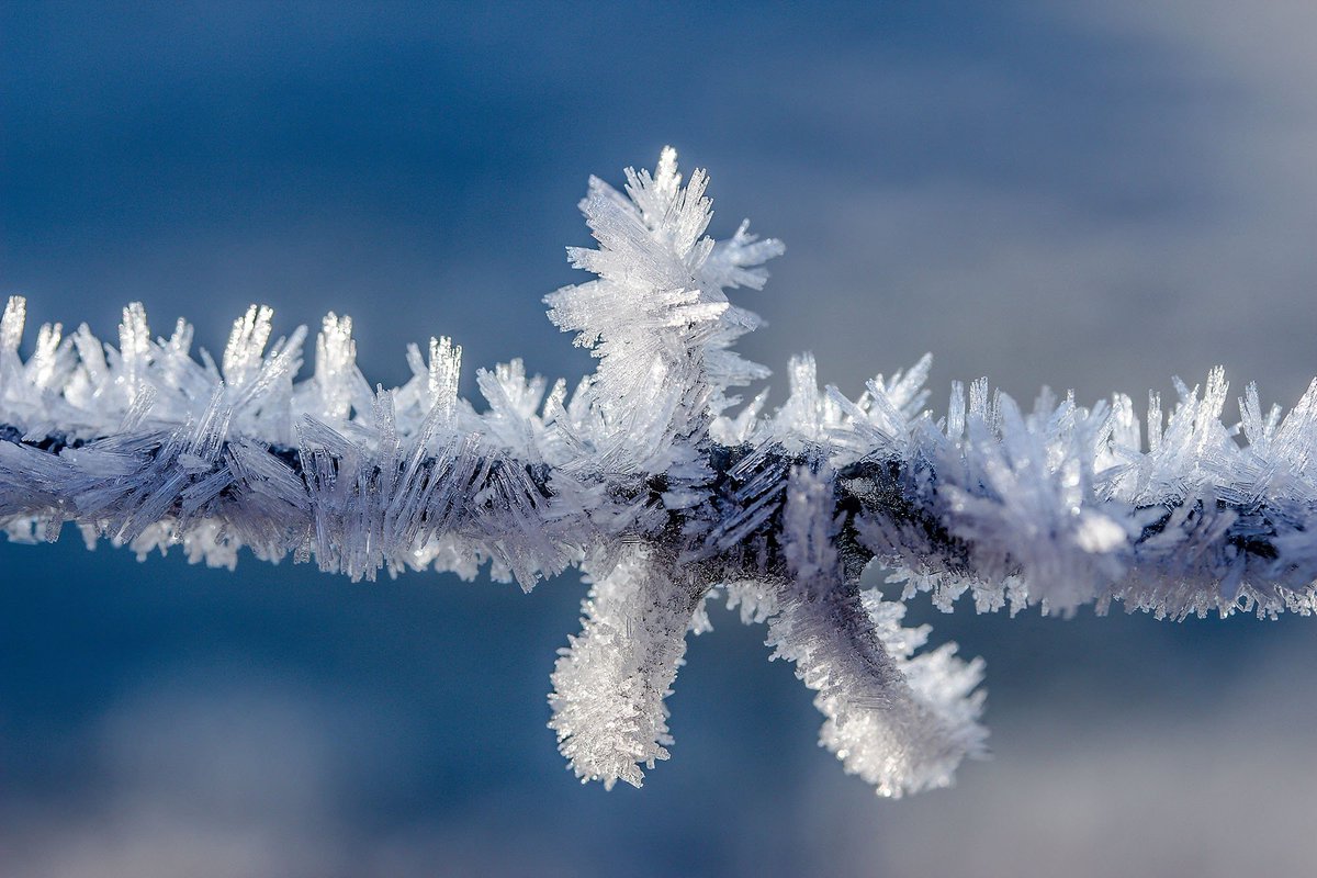 sdplus_ch's tweet photo. Tous les collaborateurs du groupe sdplus holding sa vous adressent d'ores et déjà leurs meilleurs vœux et vous souhaitent une année 2018 dynamique !
#sdplus #HappyChristmas #HappyNewYear #NewYear #engineer #ingenieur #picoftheday #nature #snow https://t.co/nC1RMkTw2t