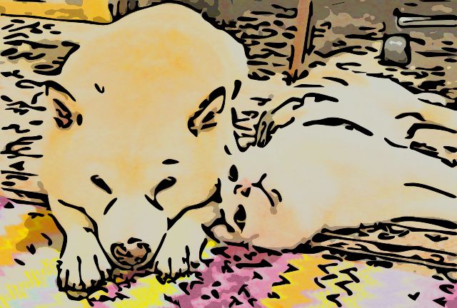 ばぁ 写真をイラスト化するフリーソフトで遊んでたけど 楽しいなぁ