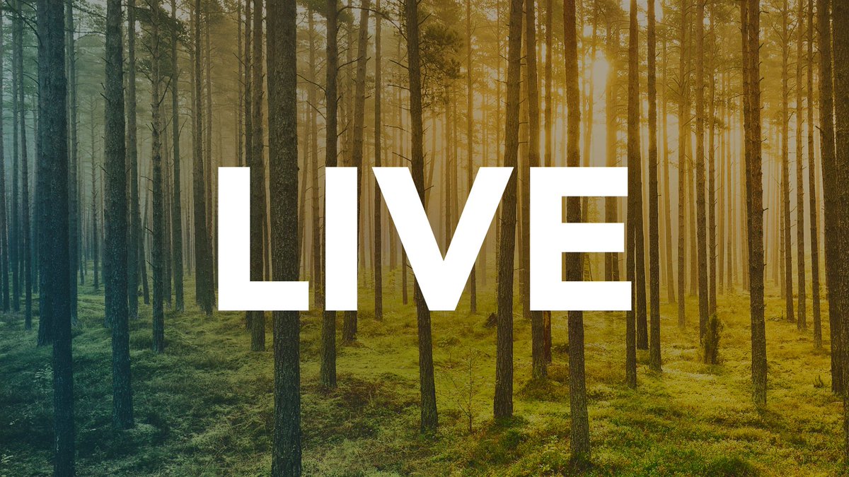 Watch #RadiantTV Live now! ow.ly/HBQG30hn9x6