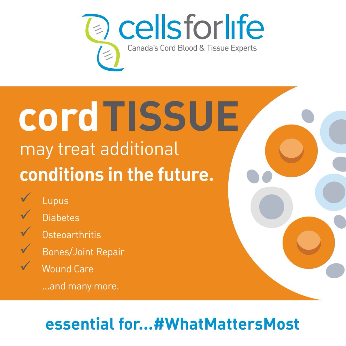 Cord tissue contains mesenchymal stem cells (MSCs) which are different from the stem cells found in cord blood. In the future, MSCs may enhance cord blood transplants and treat additional conditions. Learn more about cord tissue: info.cellsforlife.com/cordblood/