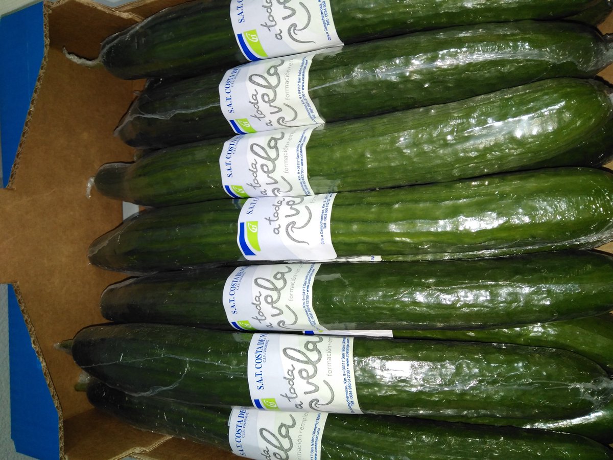 Cumpliendo con nuestro compromiso social, <a href="/SATCostadeNijar/">SAT Costa de Níjar</a> , en colaboración con <a href="/A_Toda_Vela/">A Toda Vela</a> , está llevando a cabo una exitosa experiencia en la inserción laboral de personas con discapacidad intelectual (1/2)
#comprometidos #inclusiónlaboral #ATodaVela #CostadeNíjar