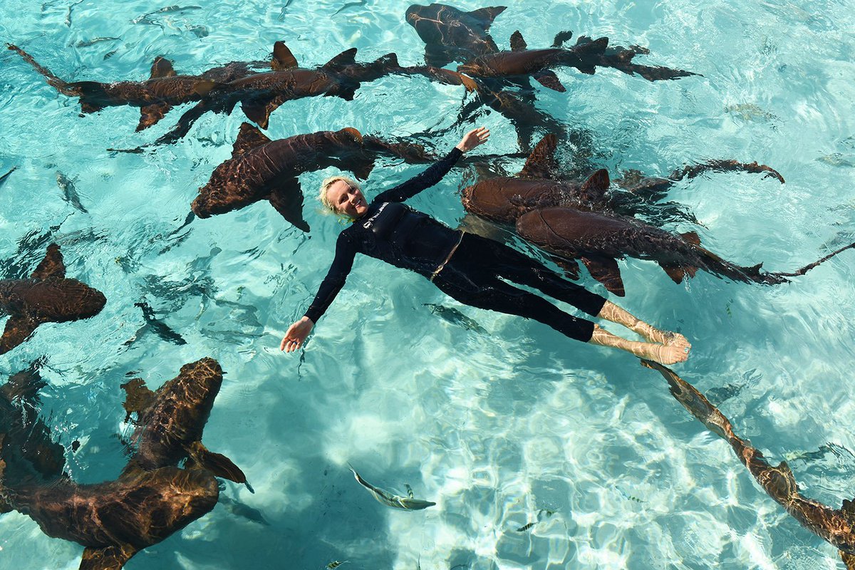 "Stay close to anything that makes you glad you're alive."-unknown 
Image: <a href="/OceanicAllstars/">Duncan Brake</a>