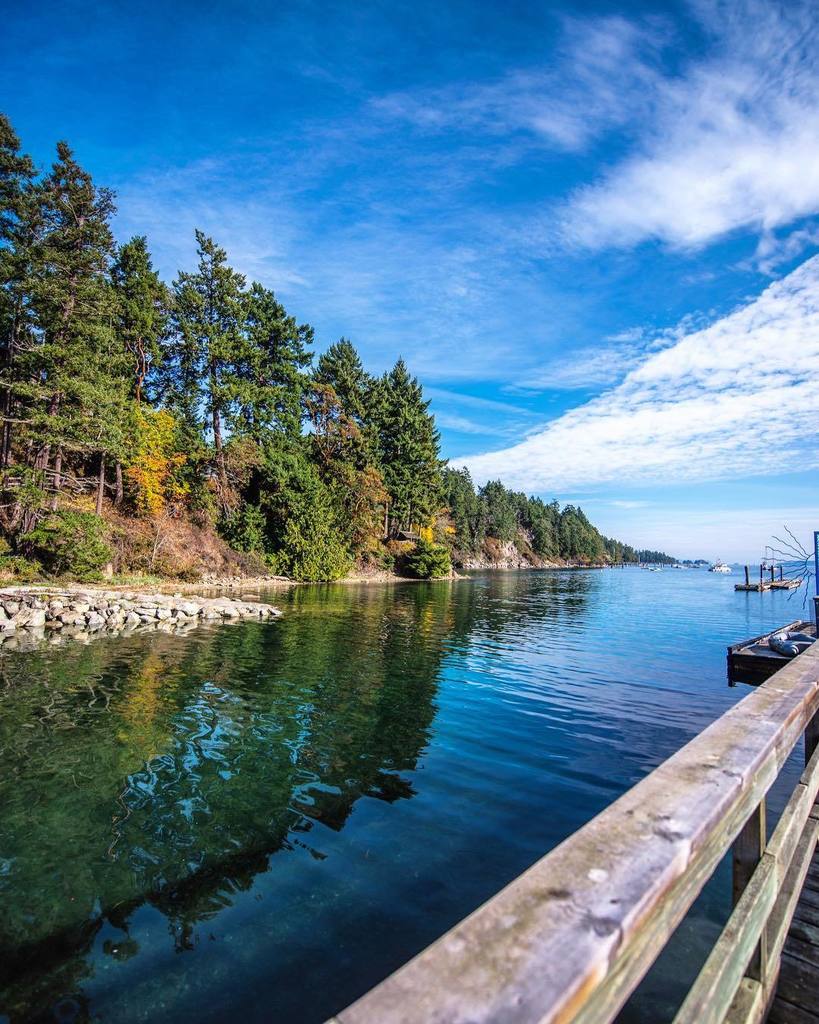 artisanbranding's tweet photo. Living in Salt Spring means getting used to beautiful Evergreens & beautiful harbours 🌹
#PNWdiscovered #pnwonderland #greatnorthcollective #optoutside #visualambassadors #natureaddict #createmood #thinkcreateesxplore #worldcaptures #sunrise #artofvis… https://t.co/jYjq5hF7dE https://t.co/bnwqHi6HYw