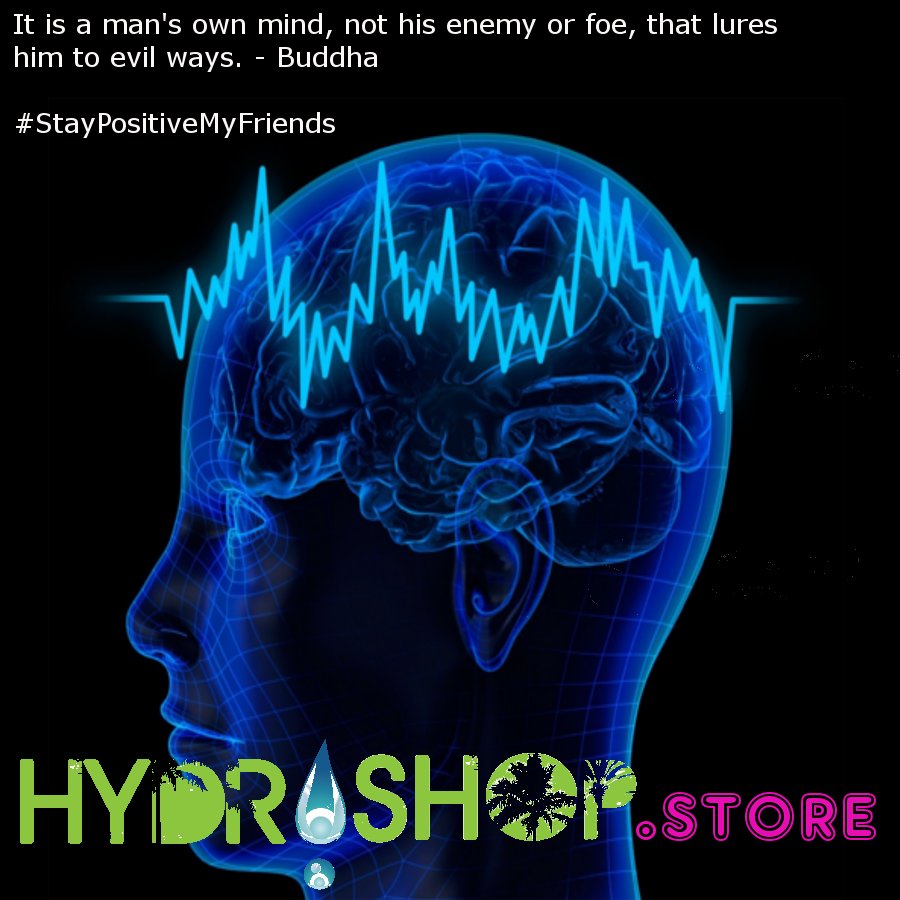 HydroShop_Store tweet picture