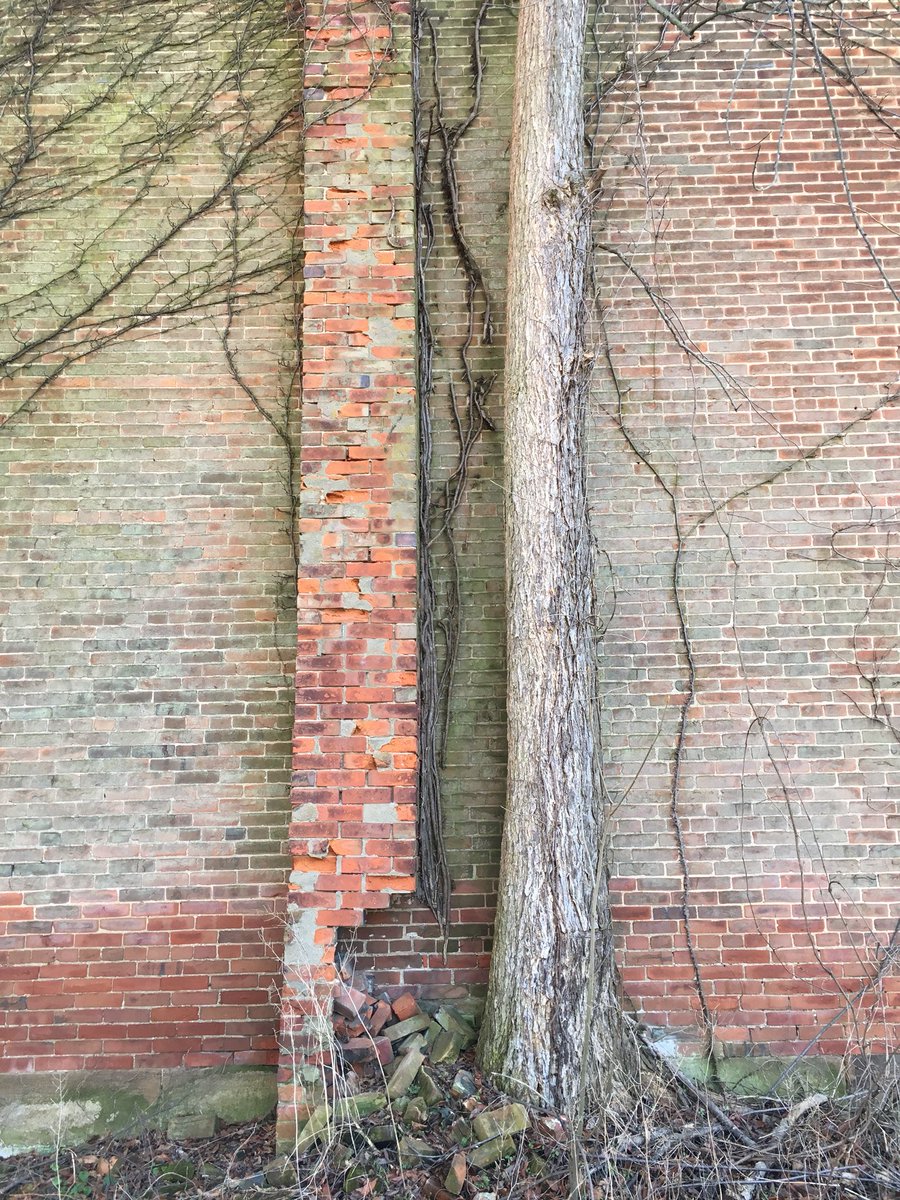 Spunkwidget's tweet image. 