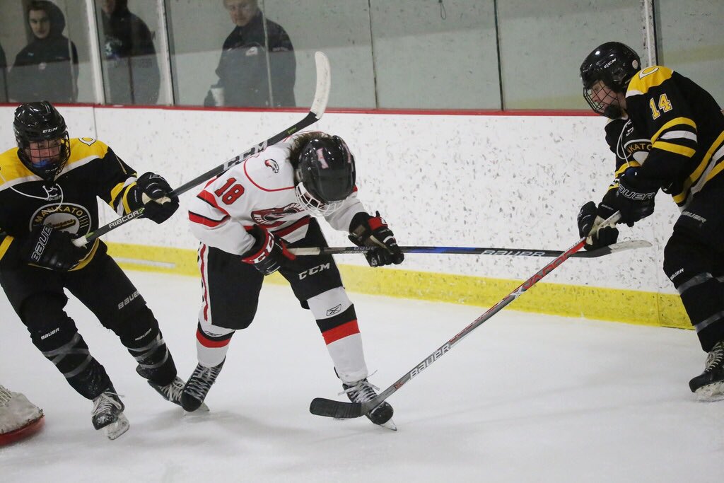 SRSchmoogs's tweet photo. @WhiteHawkHockey @TorstenLee Looks like Mankato tried to knock some sense into Torsten’s head                           https://t.co/zIcFVcprPM https://t.co/THGTRw804l