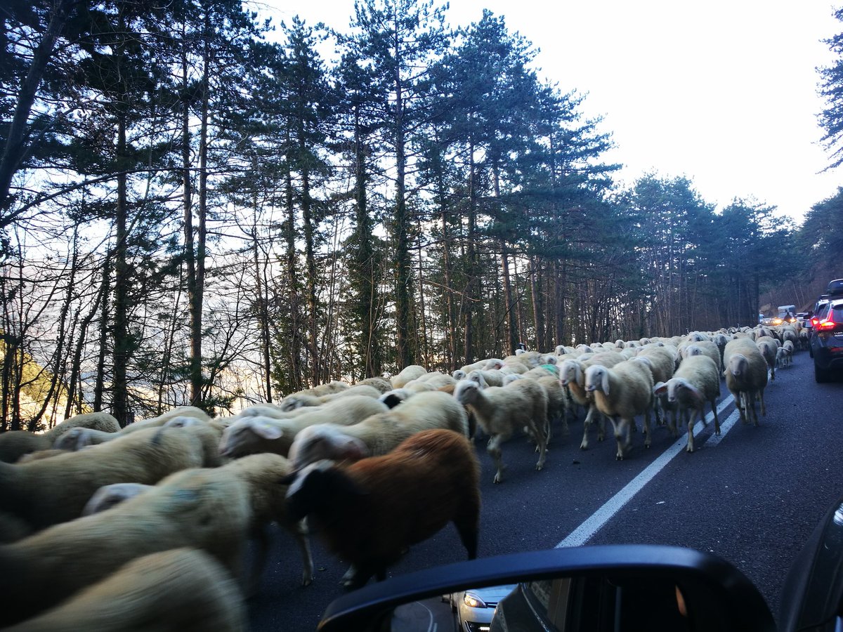 MatejPod's tweet photo. Praznični zastoj! Božič se bliža, pa se jim mudi v jaslice. 😱 😁 #Sarche #Trentino #Sudtirol #Italia #Christmas #minichristmastrip https://t.co/P22iyaF2I8