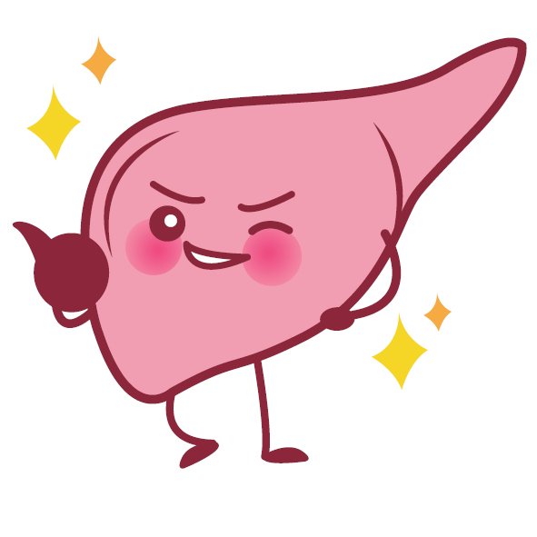 My Liver Exam on Twitter: My Liver Exam on Twitter: