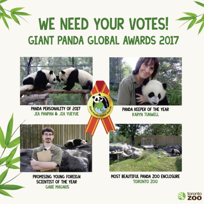 TheTorontoZoo's tweet photo. LAST CHANCE to vote for us in the Giant Panda Global Awards! 🐼
VOTE NOW at https://t.co/NPhjOnOjcI before midnight tonight (PS. There are only 56 days to see the giant pandas) #TOPandaCubs https://t.co/UmMENSk5mh