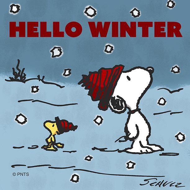McLeanLibrary's tweet photo. https://t.co/Eh7GnZsA1S