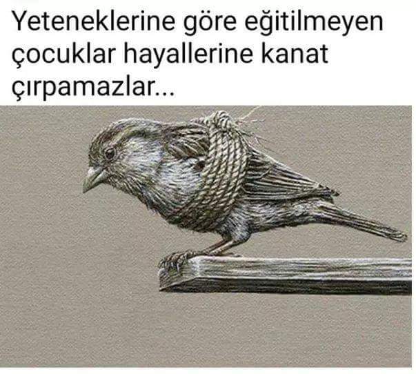#YazayımDedimDe ..   AYNEN ÖYLE...