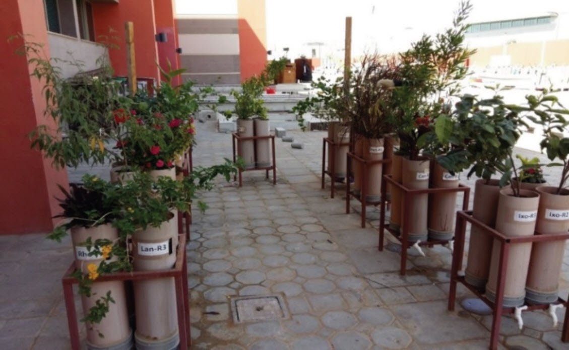 PCSWMM's tweet photo. Research by Rezaul Chowdhury, from @usqedu, and Jameelu S. Abaya, Taoufik Tsiksi and Mohamad M. Mohamed, from @UAE_University, focuses on the use of biofiltration systems with greywater reuse. For the full paper visit the #JWMM:
https://t.co/zgTNbbegJg https://t.co/TK9jCbfYkO