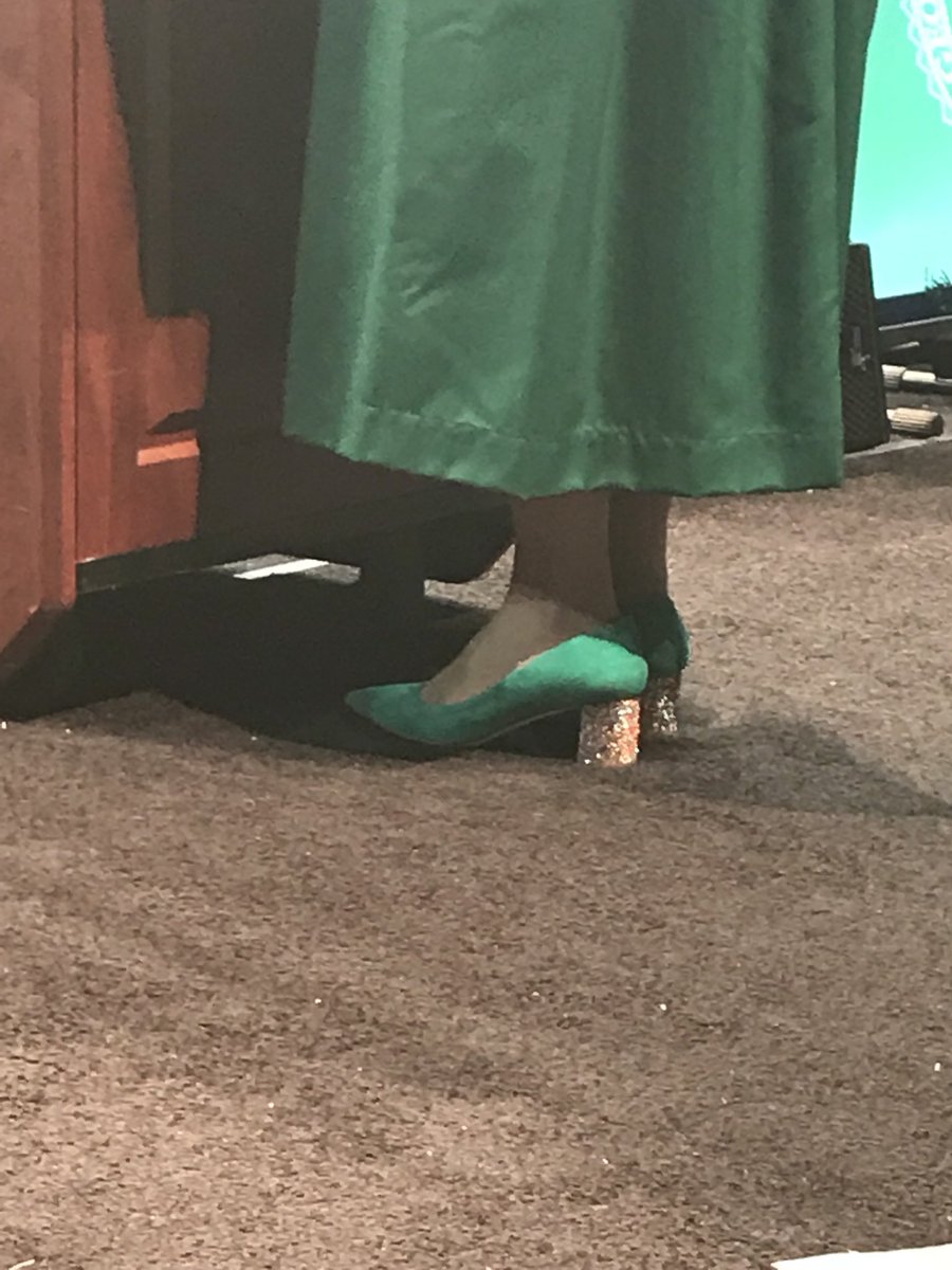 GeorgeMasonU's tweet photo. For those in the crowd who cannot see it. Our distinguished student speaker is wearing some awesome footwear. Can’t wait to hear her inspiring message. #Mason17 @MasonAlumni #mason2017 https://t.co/UEEq2HmP6c