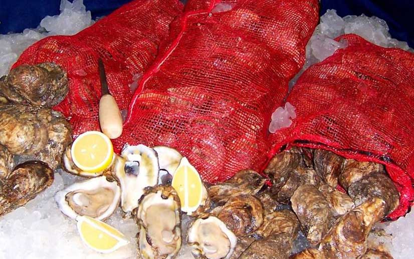 NCFreshCatch's tweet image. Happy Winter Solstice everyone!  Beautiful day for a gathering' of good friends, cold beer and fresh NC oysters. Happy hour/Holiday pricing $12/doz, $20/ half peck. Thank you Washington Crab &amp;amp; Oyster Co. for the oysters and @motorcomh for hosting.  See ya  at 5 for a cold one!