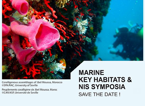 .@SPARACinfos symposia on #marine key #habitats (marine #vegetation, coralligenous and calcareous bio-concretions and dark habitats) and #NonIndigenousSpecies in the #Mediterranean will be held during the period of 14-18 January 2019.
For more info: spa-rac.org