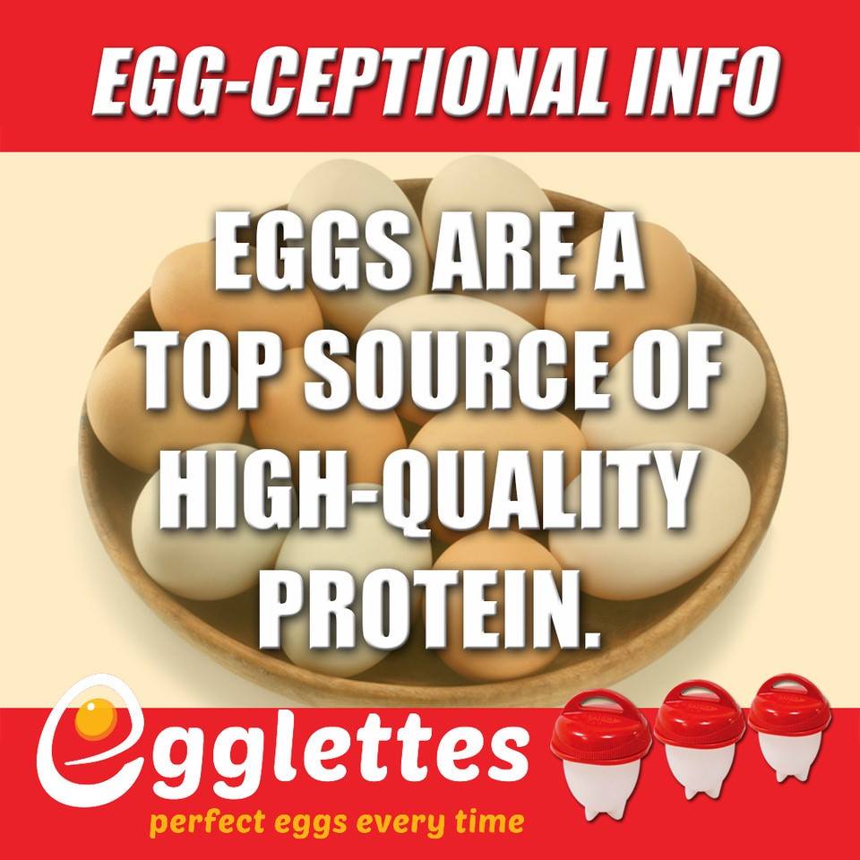Egglettes (GetEgglettes) Twitter