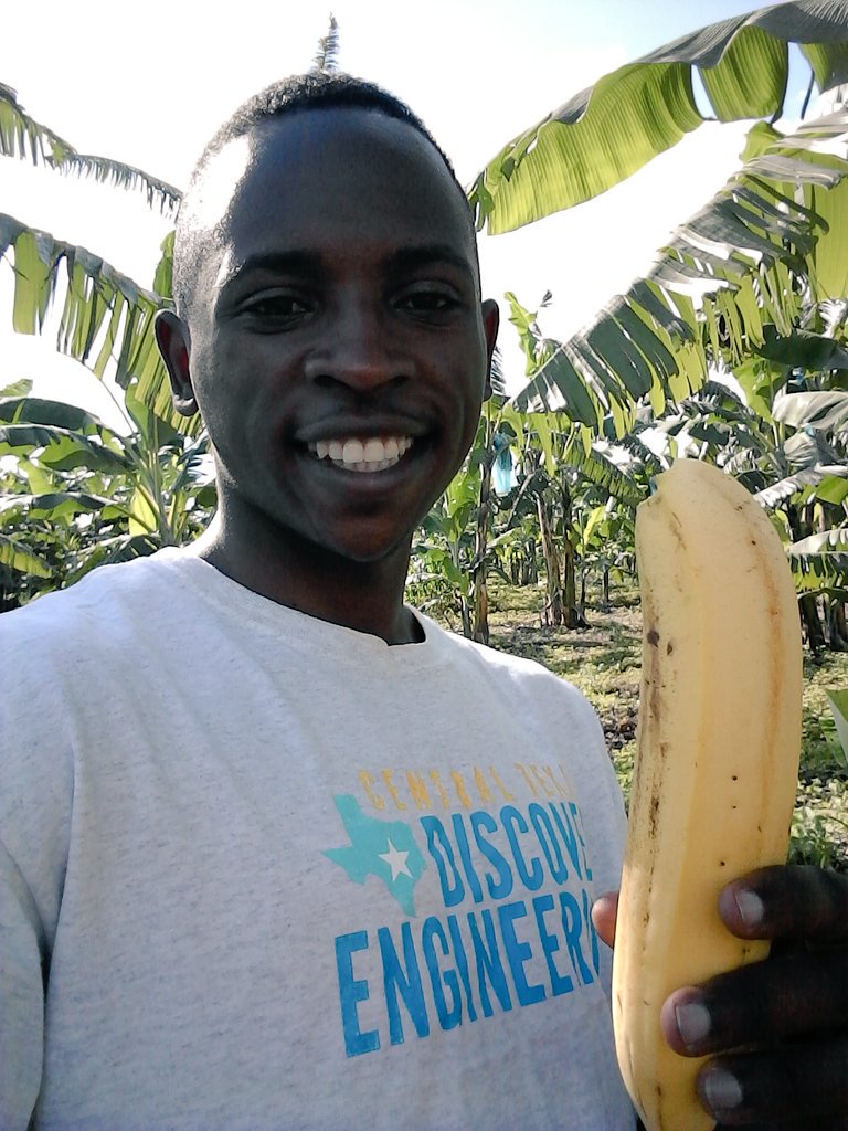 Real Green Gold (RealGreenGoldRw) Twitter