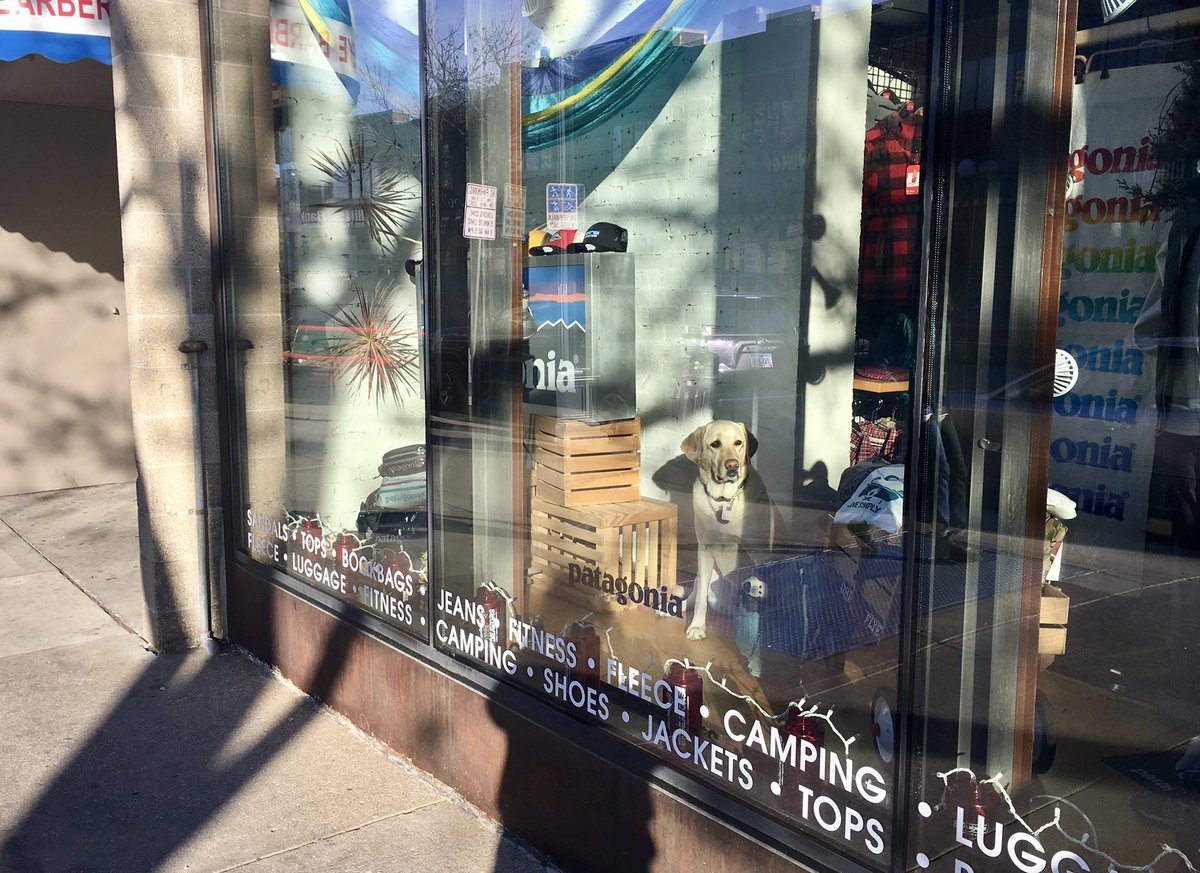 Maizie is patiently waiting for you to come say hi! Can you spot her?