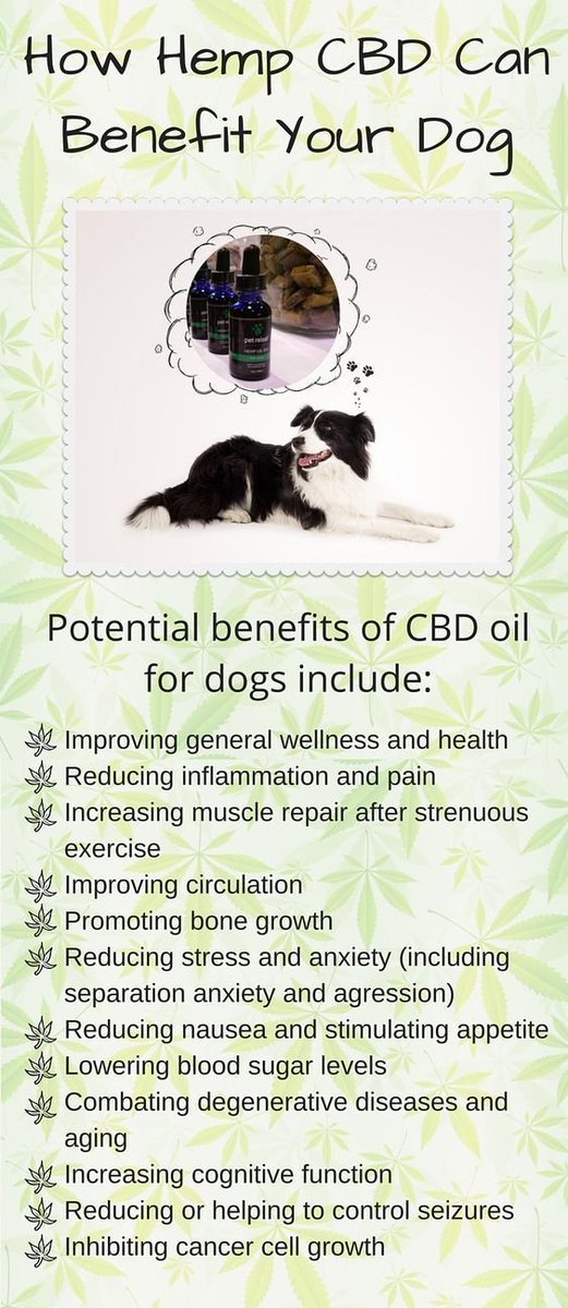 cbdbenefits's tweet photo. CBD benefits for dogs #cbd #cbdbenefits #cbdoil #hemp #dogs #cbdoil #lovedogs https://t.co/BVxYs0VVum