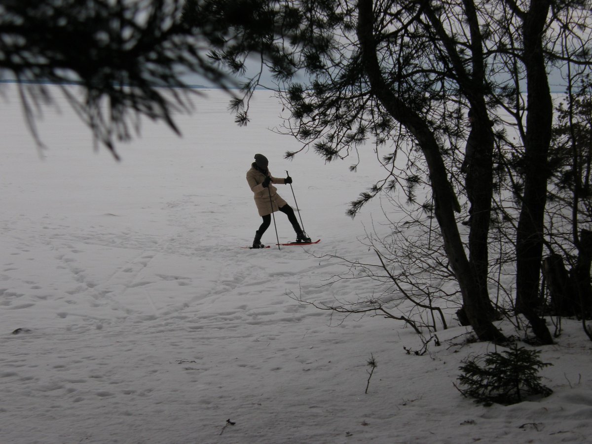 Happy Holidays from the ERDI project team. #ERDI #Christmas