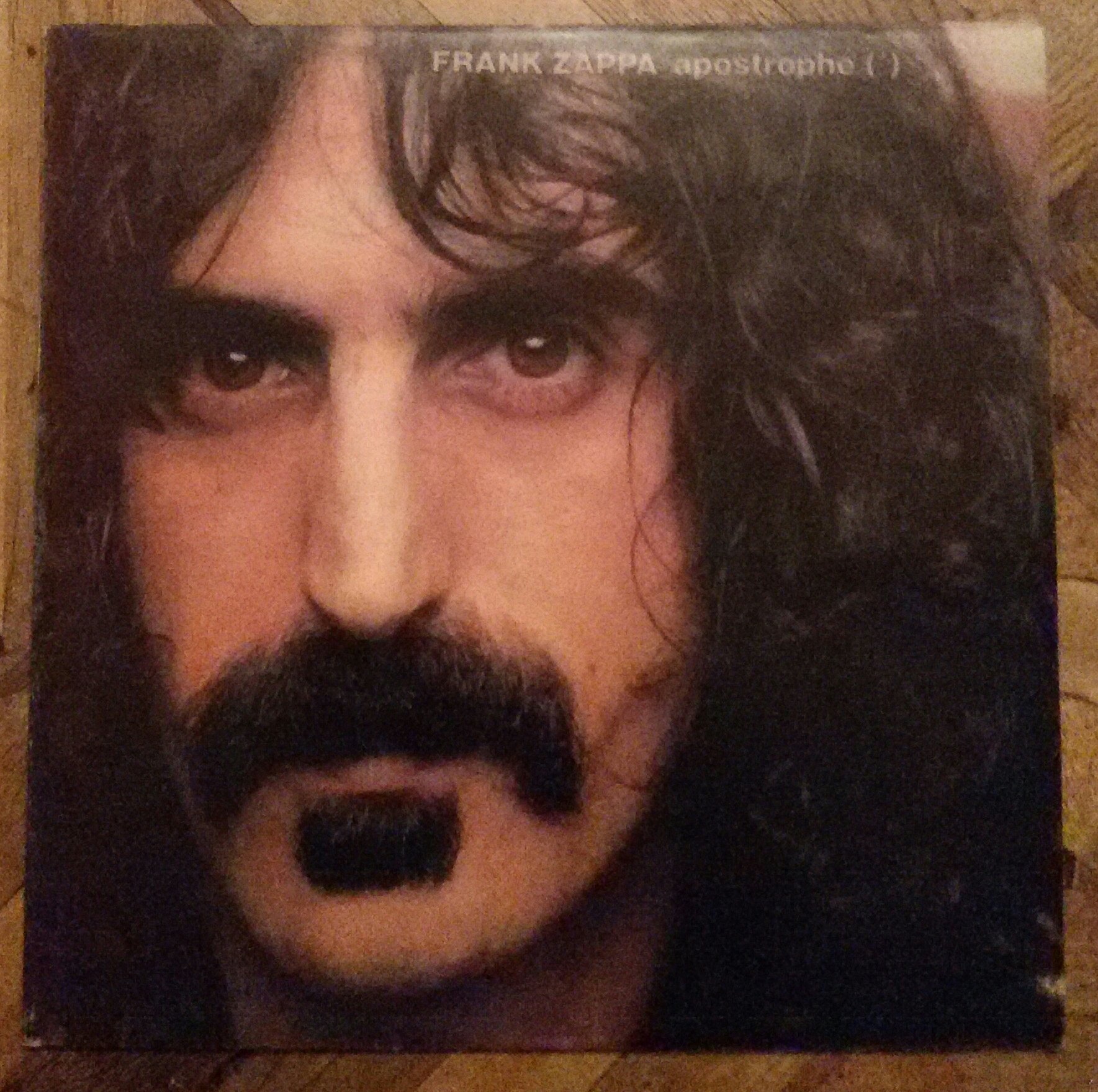  Frank Zappa

\"Without deviation from the norm, progress is not possible\"

Happy Birthday, Frank 