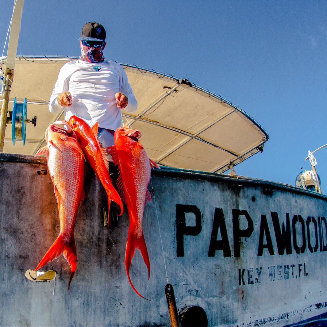 threehandsfish's tweet photo. Announcing a holiday weekend special for our THF community: Smoked Red Snapper!

Complements of our friend Capt. DJ Wood, we'll also be stocked all weekend with a variety of super-fresh snapper. Come by any day between 9AM-6PM for your fresh, never frozen, and always local fish! https://t.co/oKucwyvgI0