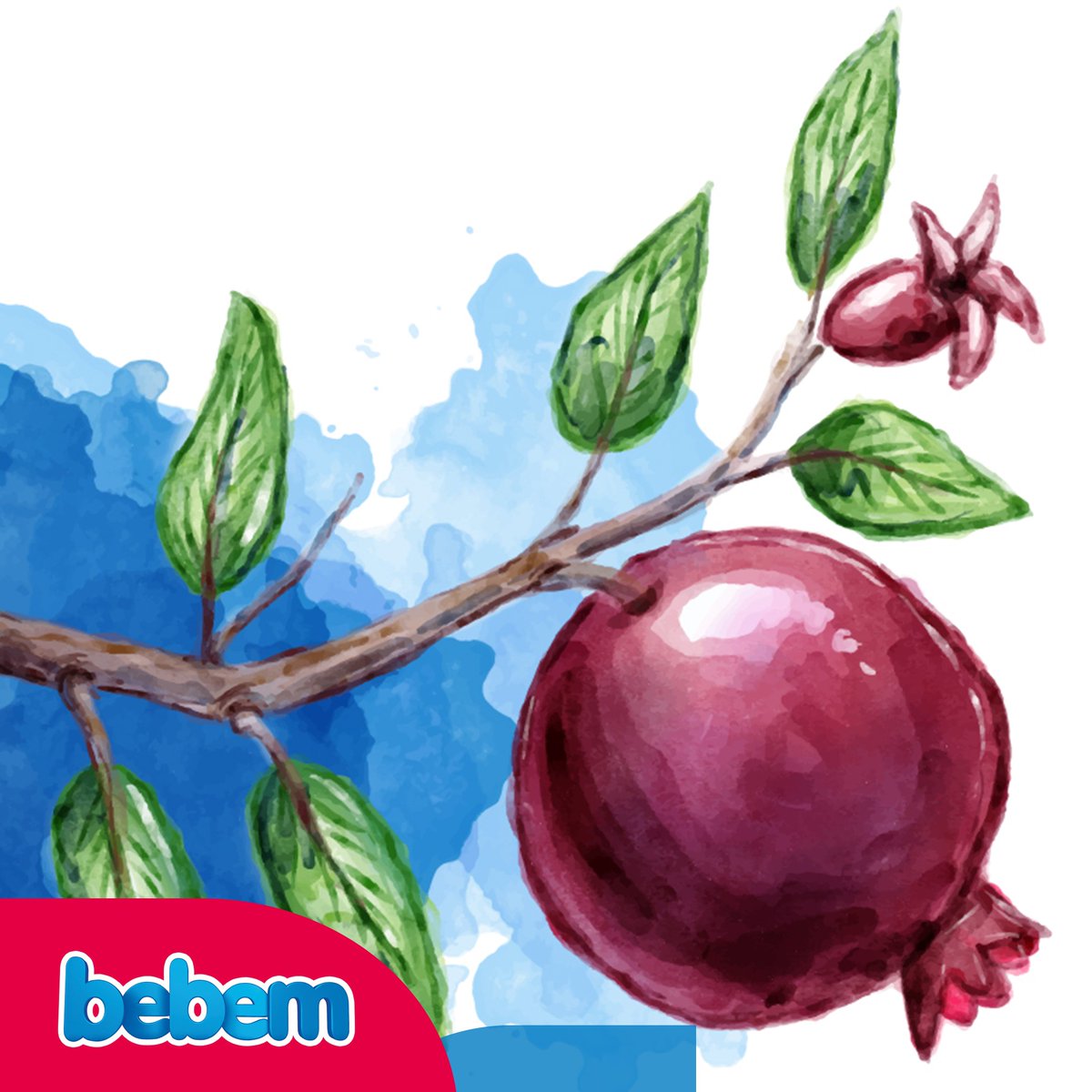 Bebem_ir's tweet photo. یلدا ی��نی حتی طولانی‌ترین شب‌ها هم به آفتاب می‌رسن. یلدا مبارک.
‌
#ببم #خانواده #جشن #زمستون 
#Bebem https://t.co/iiYeCdWu5S