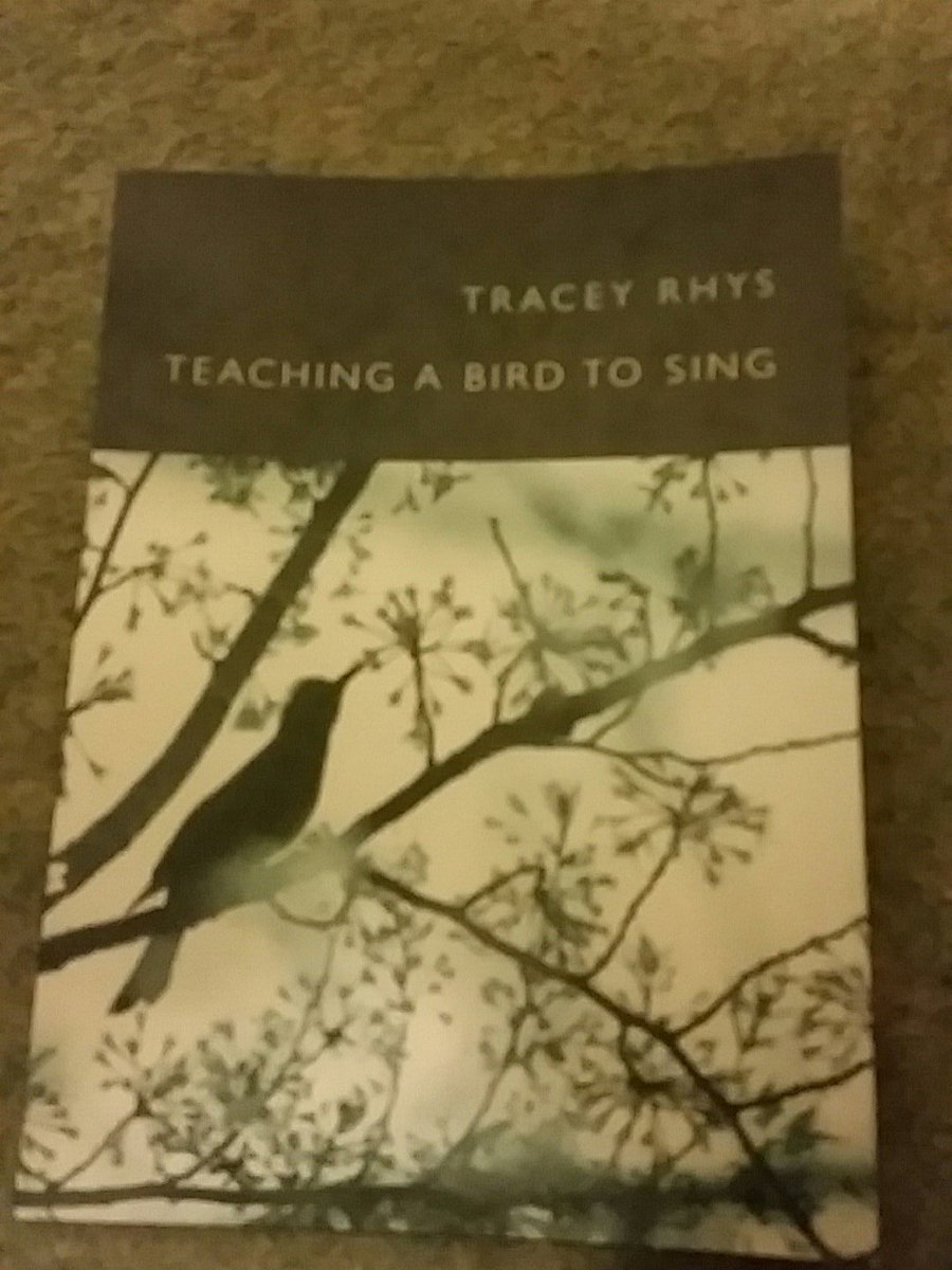 clare_potter's tweet photo. #AmReading and weeping over these achingly beautiful poems @Withaneerhys #greenbottlepress #motherhood #autism #otherwaysofknowing https://t.co/niILJT7SAR