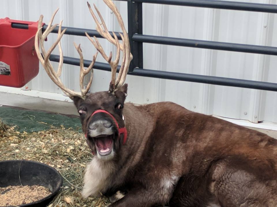 Whitetail Acres tweet media
