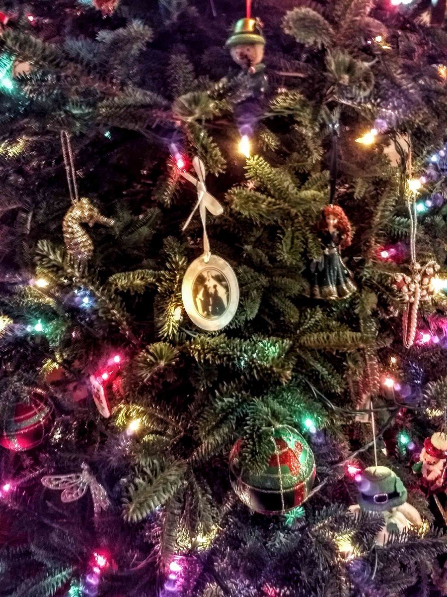 jennymcinspired's tweet photo. Merry Christmas from our home to yours! #whenyourlastnameismcafeeandyouwatchOutlander #Cooklander #ScottishSanta https://t.co/Qlx0yObyiP