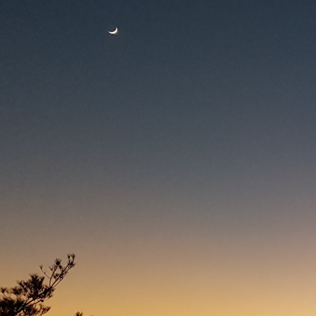 returnfar57's tweet image. #NewProfilePic