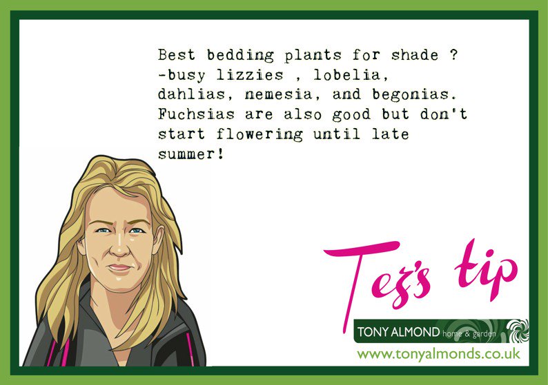 Tony Almond Online (@almondsonline) on Twitter photo 