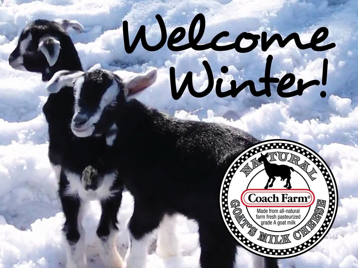 CoachFarm's tweet image. 