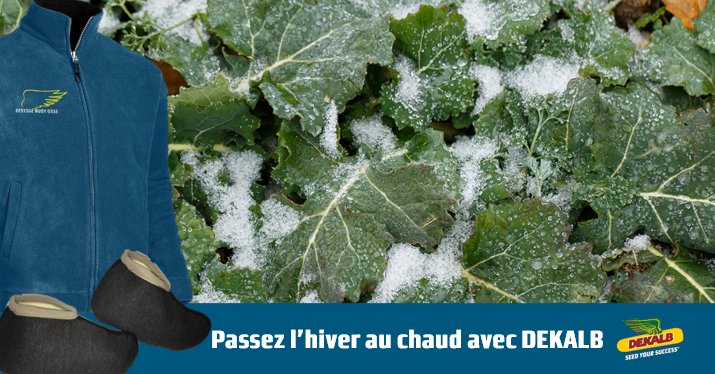 Envie de passer l’hiver au chaud ? 5 packs hiver à gagner par tirage au sort : 1 veste Dekalb, 1 paire de chaussons de bottes et 3 sucettes pour faire de savoureux chocolats chauds ! Pour participer, re-twittez ce post et envoyez-nous une photo de vos #colzas.
