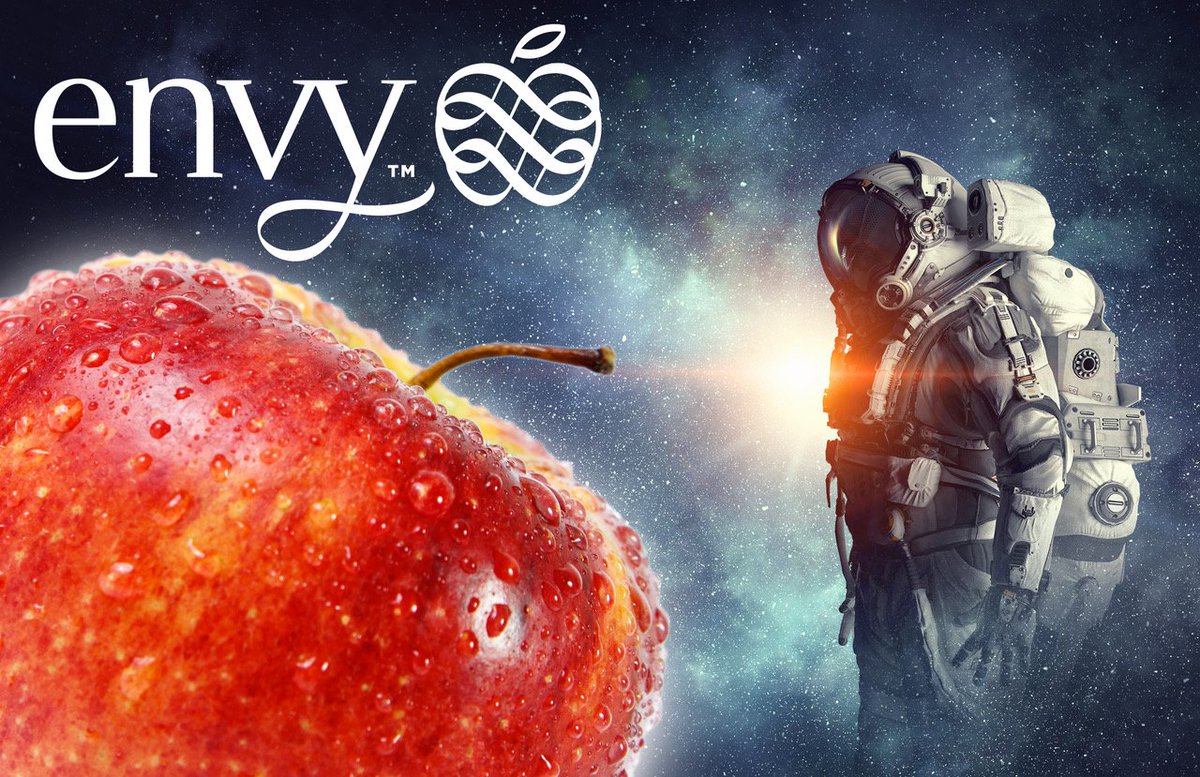 The Packer tweet media