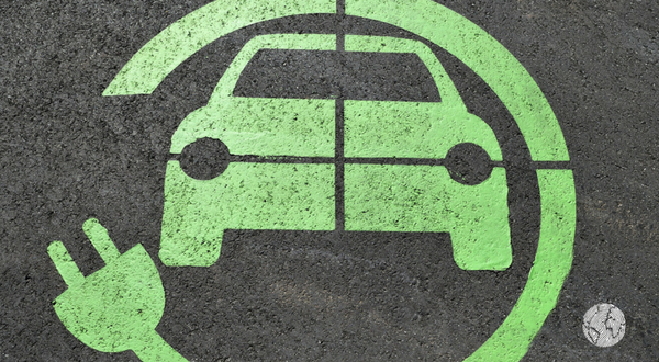 Fondation Nature Homme tweet media