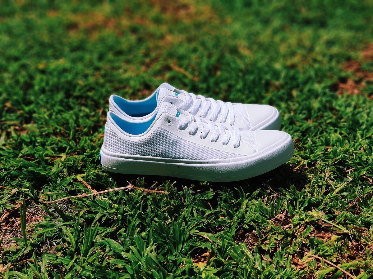 fresh kicks shoe store