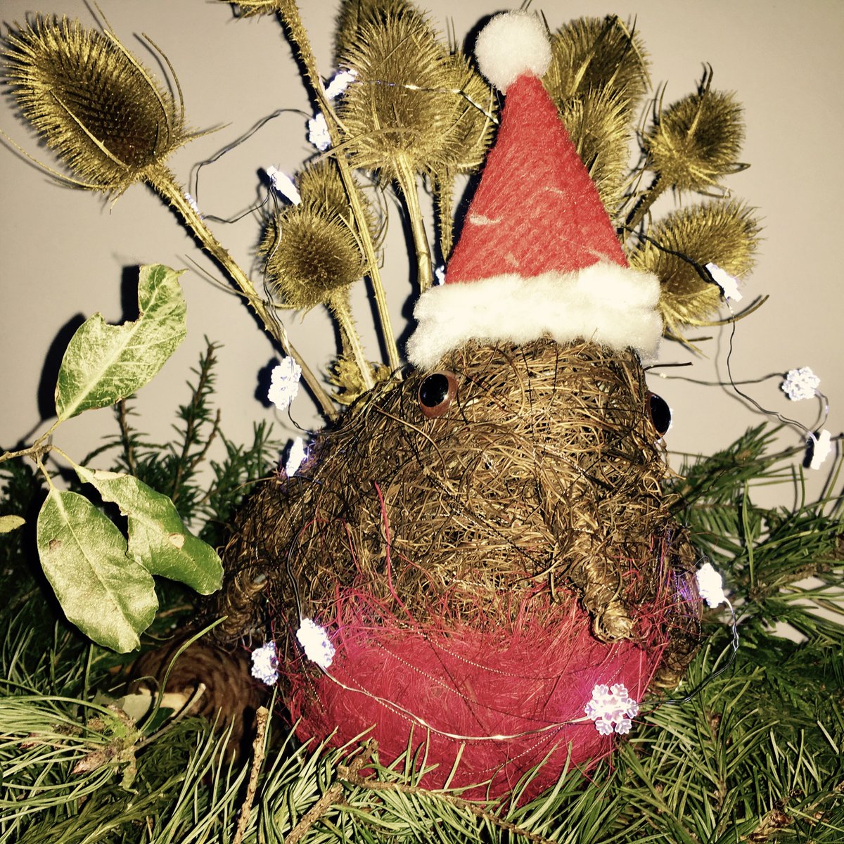 cuxhaminbloom's tweet photo. Tis the season to be jolly #ChristmasDecorations on #NationalRobinDay https://t.co/SV4gB1mz9k