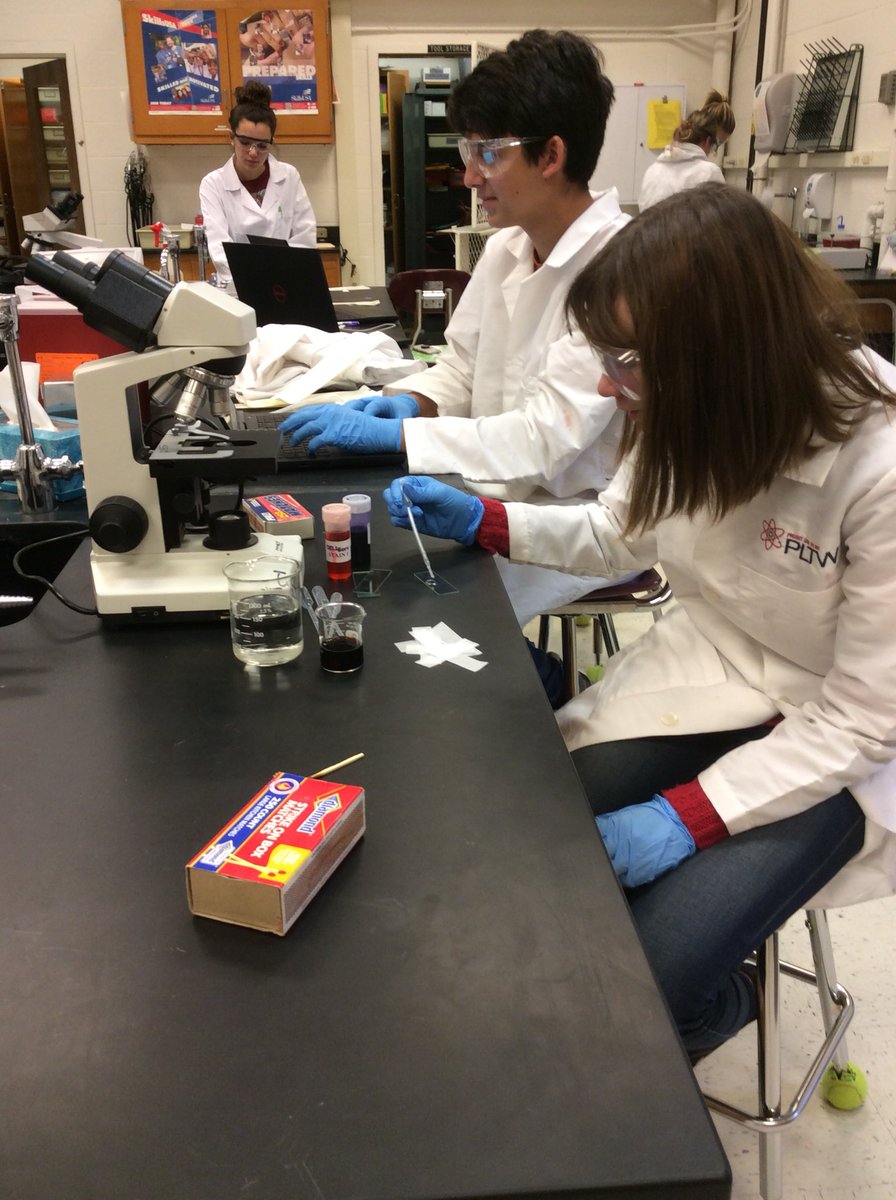 Biomedical Science tweet media