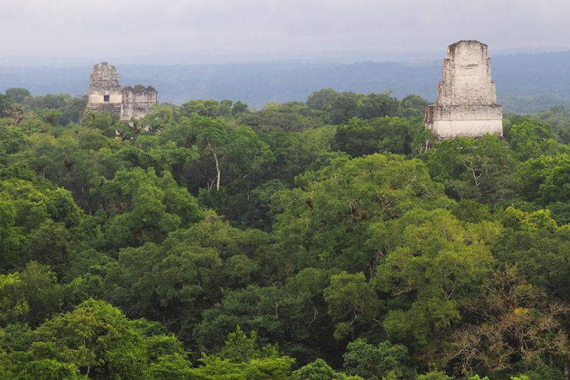 touropia's tweet photo. 10 Most Fascinating Mayan Ruins in Guatemala https://t.co/wS9RRxOHRd https://t.co/sbW46OVbqx