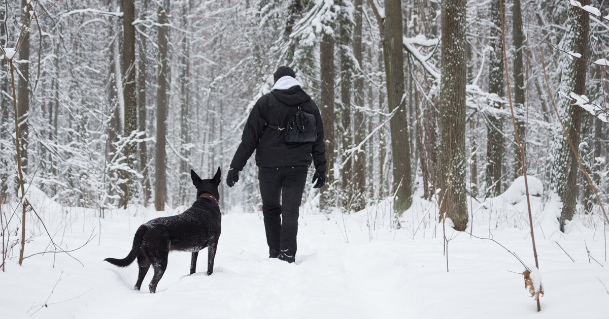 ZuluAudio's tweet photo. #ThursdayThoughts: Enjoy the relaxing vibes of a winter walk AND your fav tunes! #stressrelief #musicismymedicine https://t.co/Tq6mXvwYLH https://t.co/NZa42rfZmm