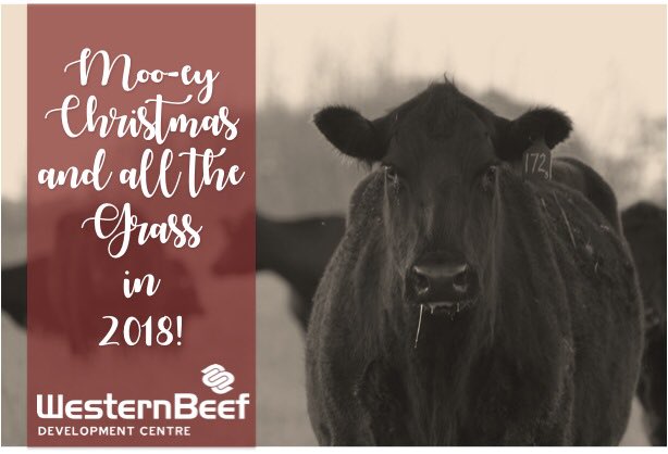 From <a href="/DrBart_Beef/">Dr Bart Lardner 🇨🇦</a>, <a href="/mi_simili/">Michele Simili</a>, Leah, Krystal, Jim, myself and our fantastic ranch staff