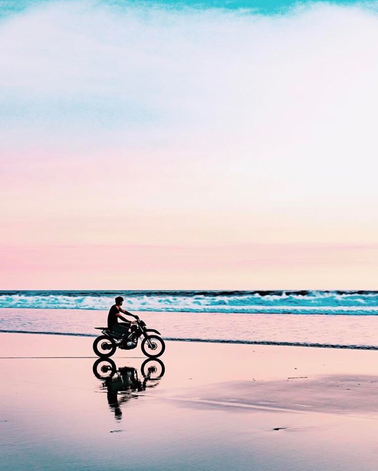 Skin Woof tweet media