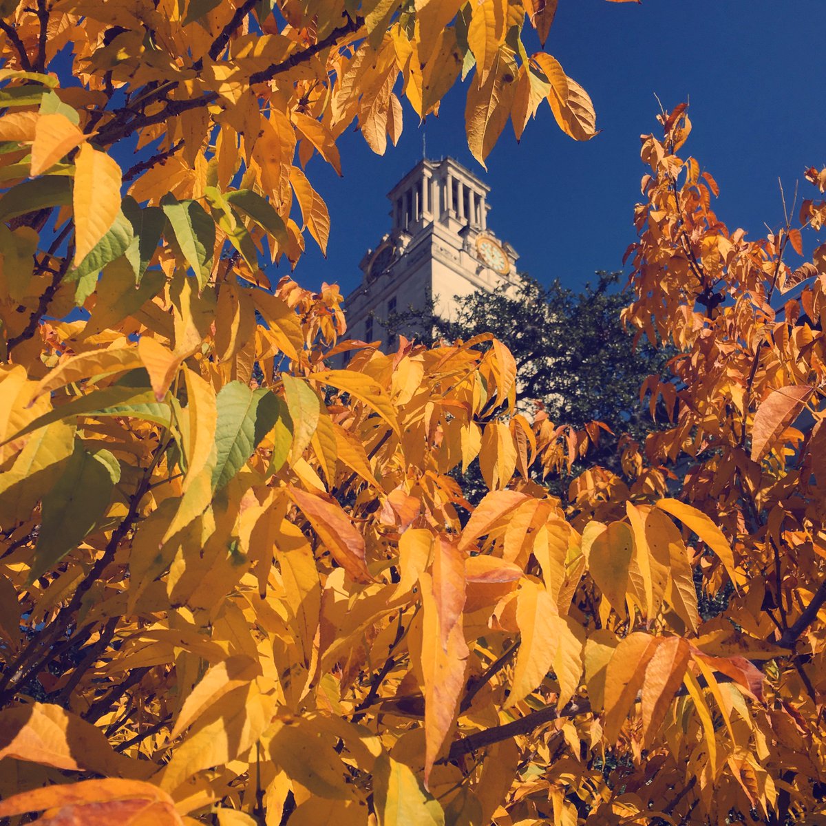 UTexasStudents's tweet image. We hope you have a great winter break! We'll be taking a look back at our top stories from this semester. Stay tuned for our highlights! #UTFallRecap